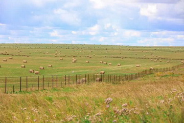 大宝娱乐-LG游戏|PT游戏|CQ9游戏