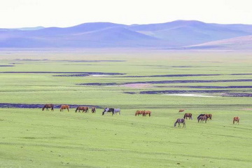 大宝娱乐-LG游戏|PT游戏|CQ9游戏