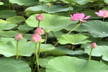 大宝娱乐-LG游戏|PT游戏|CQ9游戏