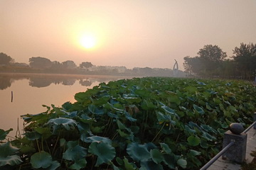 大宝娱乐-LG游戏|PT游戏|CQ9游戏