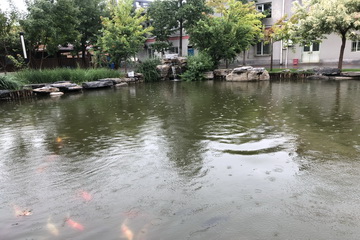 大宝娱乐-LG游戏|PT游戏|CQ9游戏