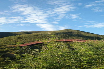 大宝娱乐-LG游戏|PT游戏|CQ9游戏