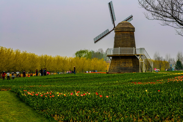 大宝娱乐-LG游戏|PT游戏|CQ9游戏