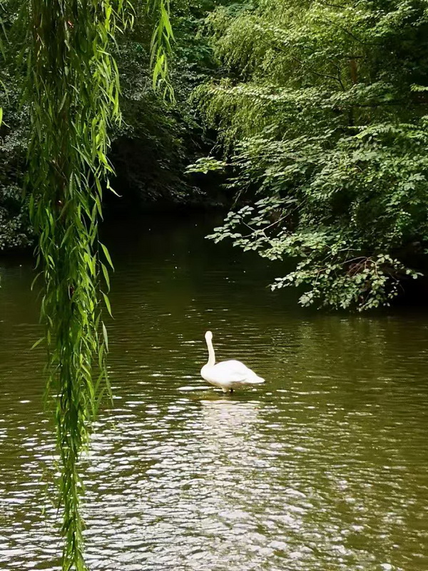 大宝娱乐-LG游戏|PT游戏|CQ9游戏