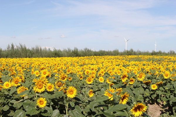 大宝娱乐-LG游戏|PT游戏|CQ9游戏