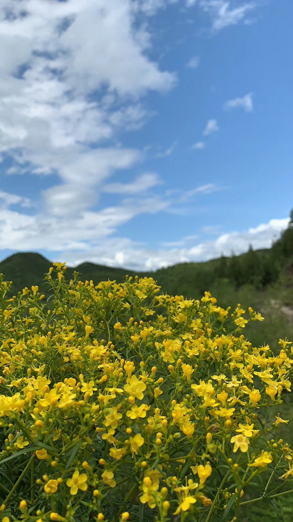 大宝娱乐-LG游戏|PT游戏|CQ9游戏