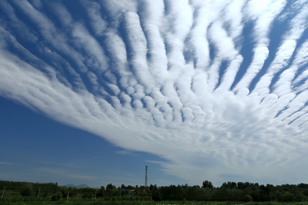 大宝娱乐-LG游戏|PT游戏|CQ9游戏