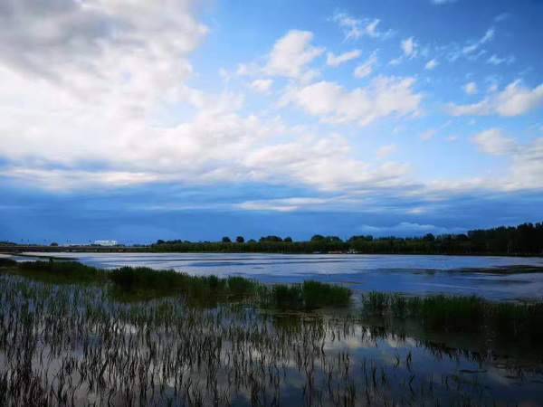 大宝娱乐-LG游戏|PT游戏|CQ9游戏