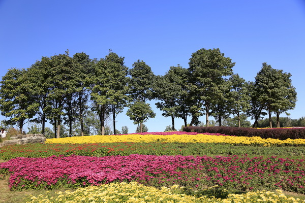 大宝娱乐-LG游戏|PT游戏|CQ9游戏