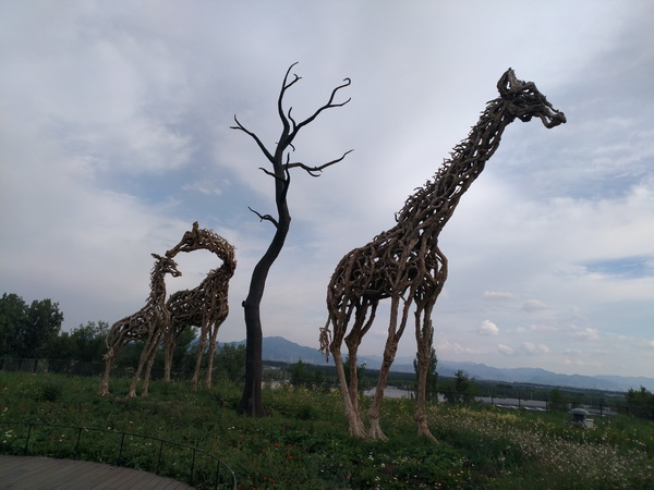 大宝娱乐-LG游戏|PT游戏|CQ9游戏