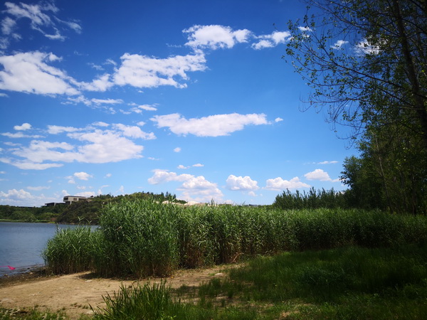 大宝娱乐-LG游戏|PT游戏|CQ9游戏