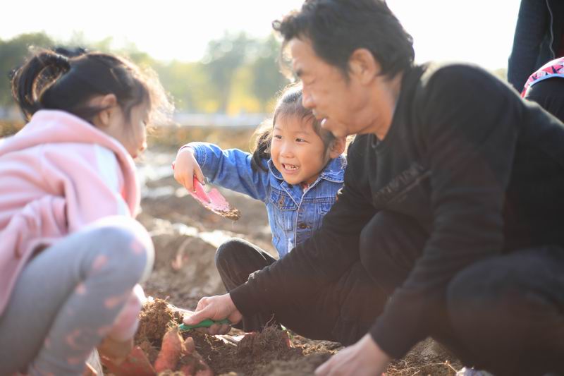 大宝娱乐-LG游戏|PT游戏|CQ9游戏