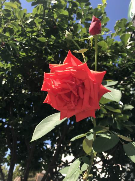 大宝娱乐-LG游戏|PT游戏|CQ9游戏