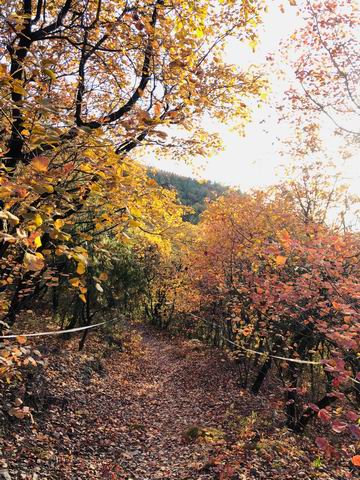 大宝娱乐-LG游戏|PT游戏|CQ9游戏