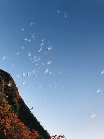 大宝娱乐-LG游戏|PT游戏|CQ9游戏