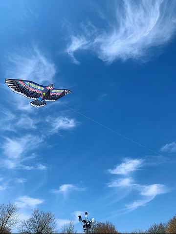 大宝娱乐-LG游戏|PT游戏|CQ9游戏