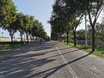 大宝娱乐-LG游戏|PT游戏|CQ9游戏