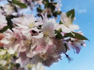 大宝娱乐-LG游戏|PT游戏|CQ9游戏