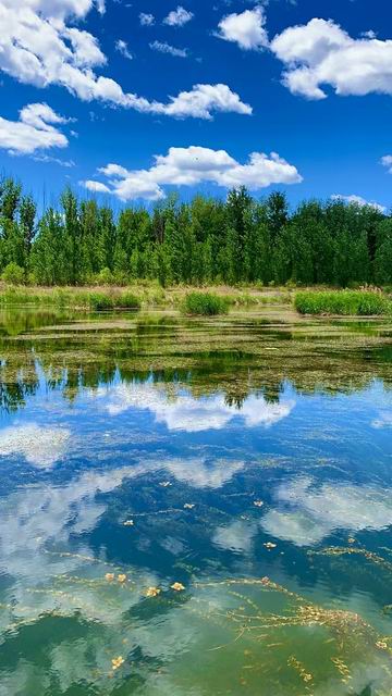 大宝娱乐-LG游戏|PT游戏|CQ9游戏