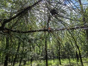 大宝娱乐-LG游戏|PT游戏|CQ9游戏