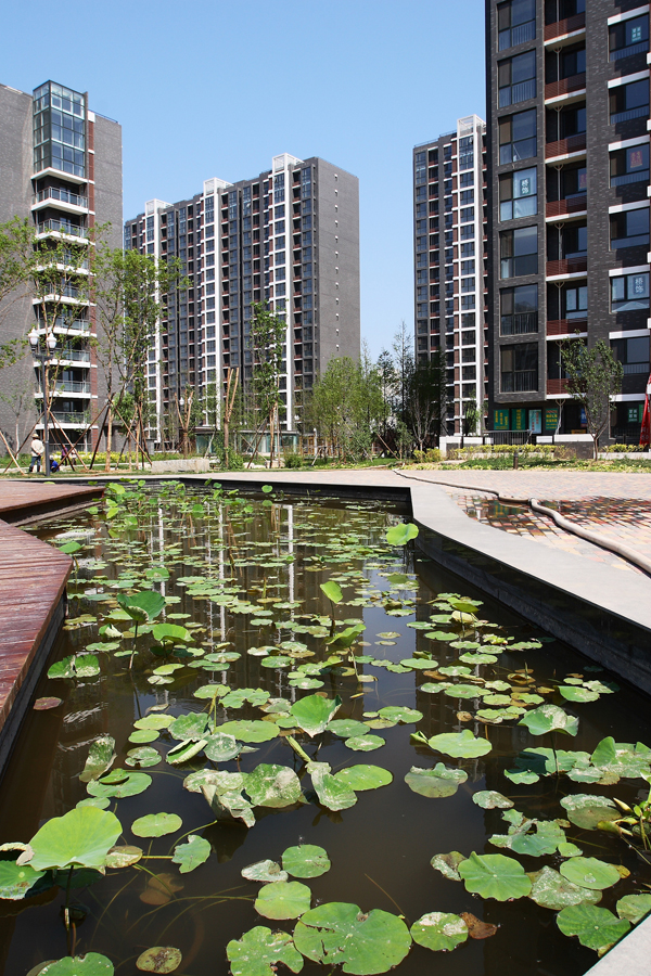 大宝娱乐-LG游戏|PT游戏|CQ9游戏