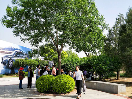 大宝娱乐-LG游戏|PT游戏|CQ9游戏