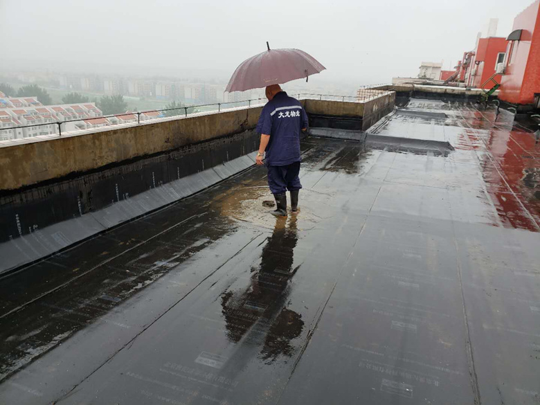 大宝娱乐-LG游戏|PT游戏|CQ9游戏