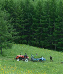 大宝娱乐-LG游戏|PT游戏|CQ9游戏