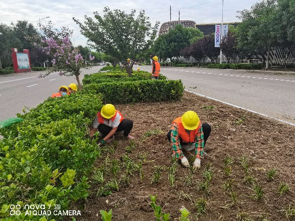 大宝娱乐-LG游戏|PT游戏|CQ9游戏