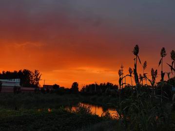 大宝娱乐-LG游戏|PT游戏|CQ9游戏