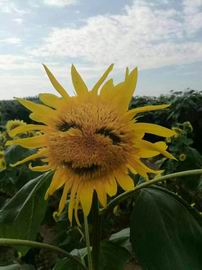 大宝娱乐-LG游戏|PT游戏|CQ9游戏