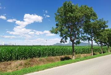 大宝娱乐-LG游戏|PT游戏|CQ9游戏