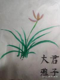 大宝娱乐-LG游戏|PT游戏|CQ9游戏