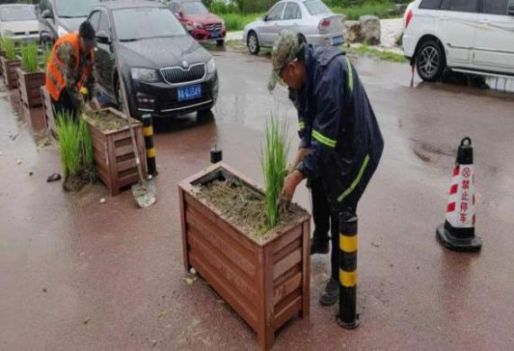 大宝娱乐-LG游戏|PT游戏|CQ9游戏